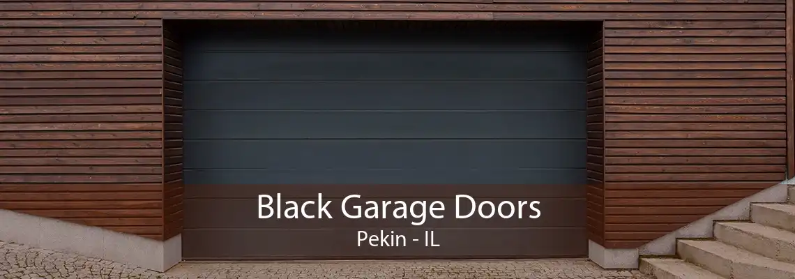 Black Garage Doors Pekin - IL