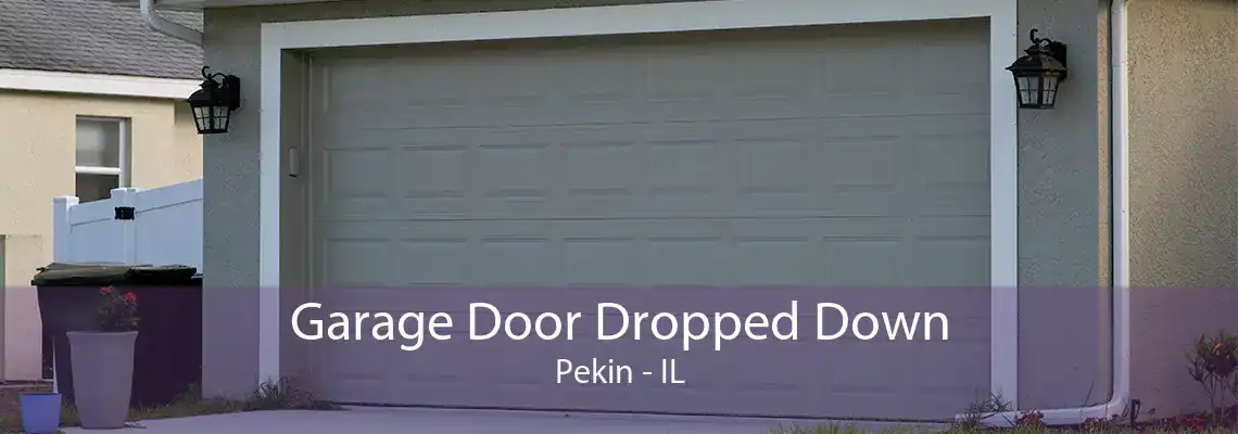 Garage Door Dropped Down Pekin - IL