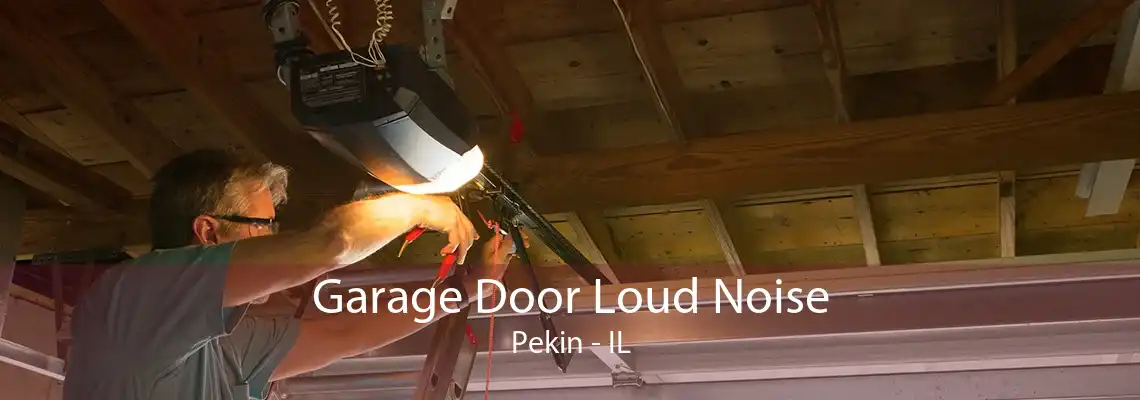 Garage Door Loud Noise Pekin - IL