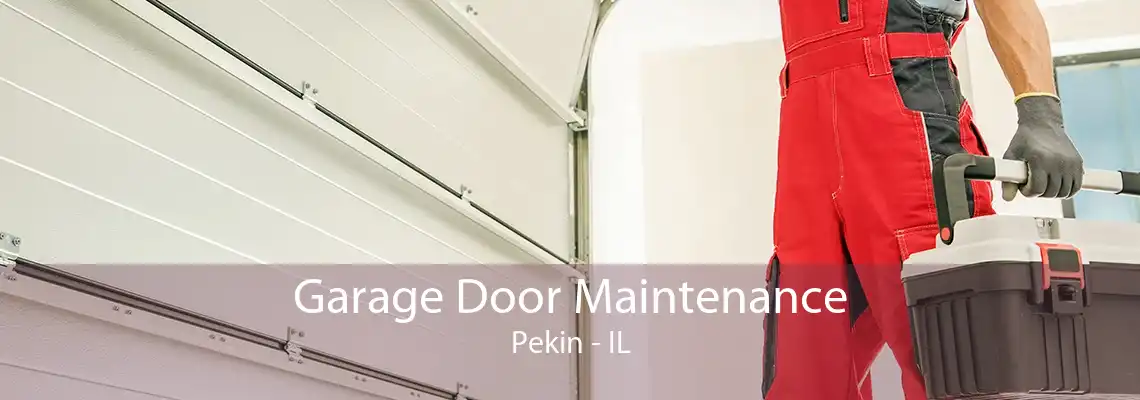 Garage Door Maintenance Pekin - IL