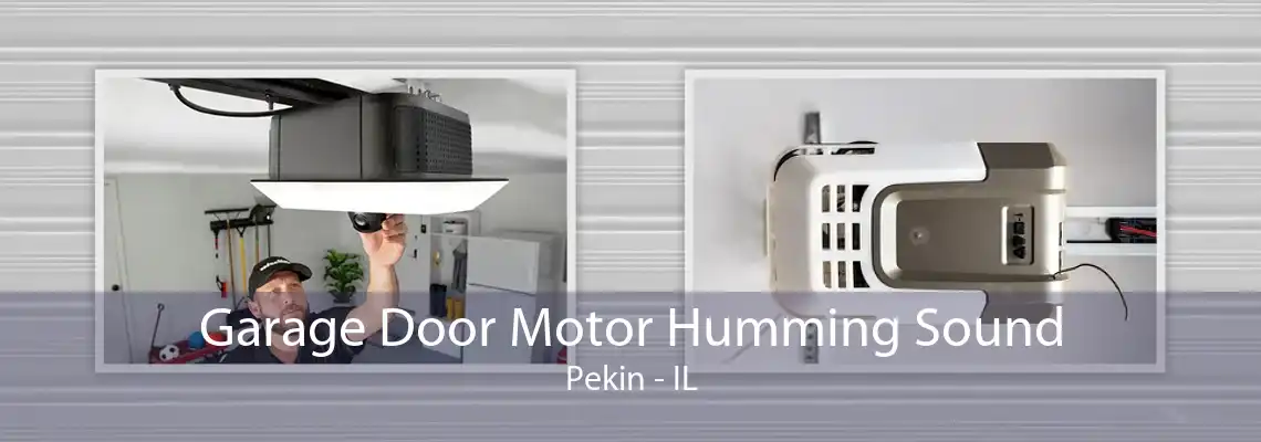 Garage Door Motor Humming Sound Pekin - IL