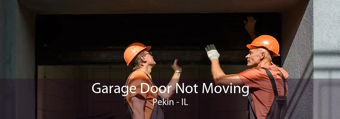 Garage Door Not Moving Pekin - IL