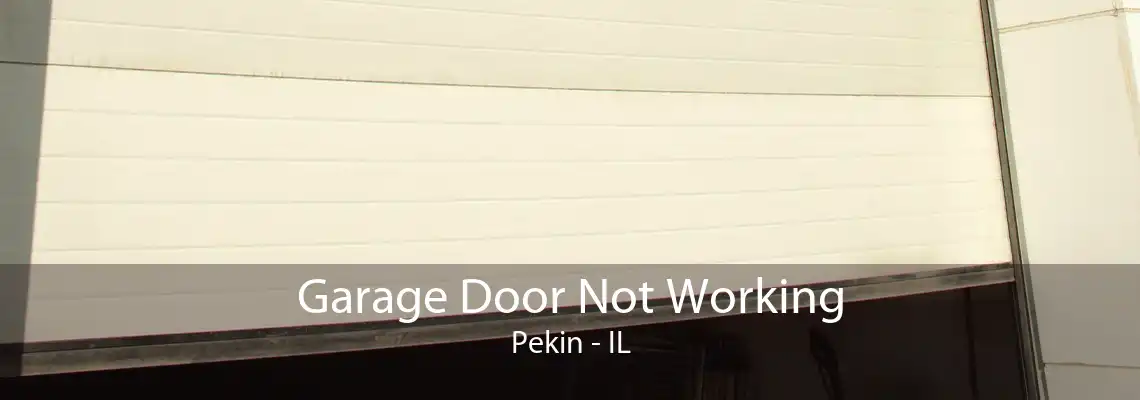 Garage Door Not Working Pekin - IL