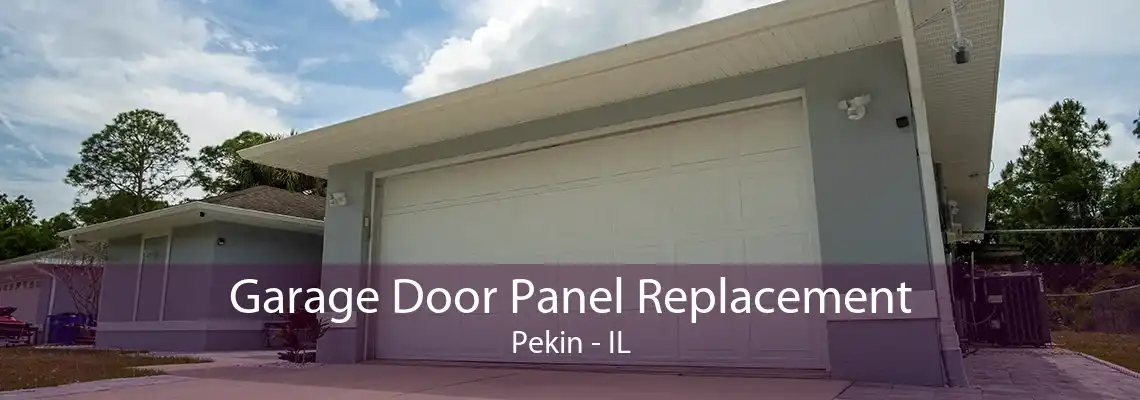 Garage Door Panel Replacement Pekin - IL