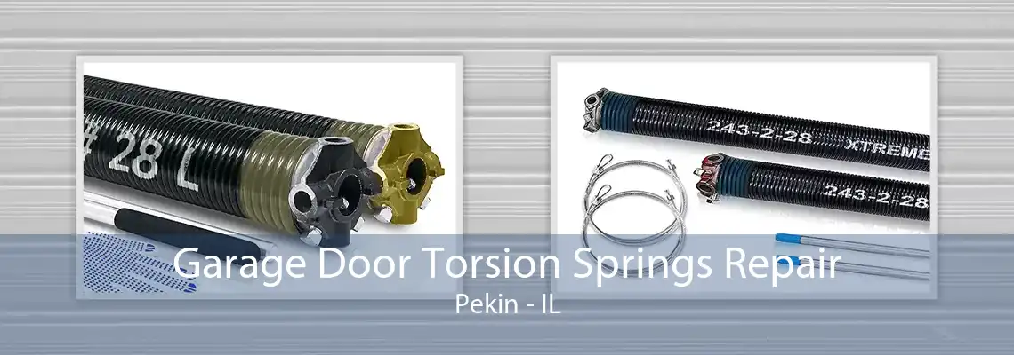 Garage Door Torsion Springs Repair Pekin - IL