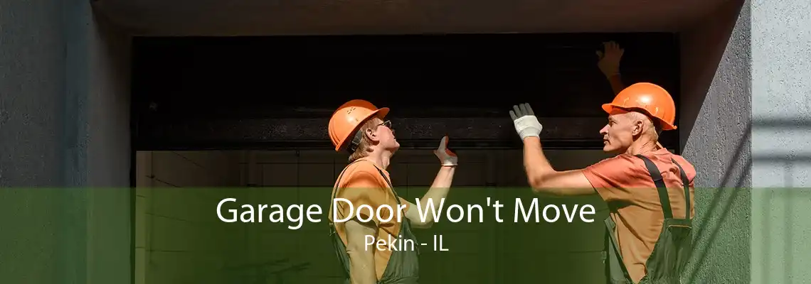 Garage Door Won't Move Pekin - IL