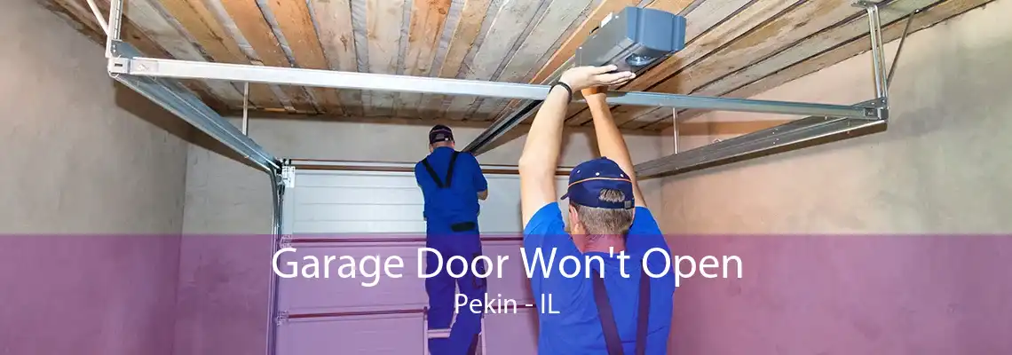 Garage Door Won't Open Pekin - IL