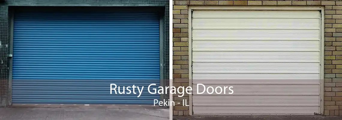 Rusty Garage Doors Pekin - IL